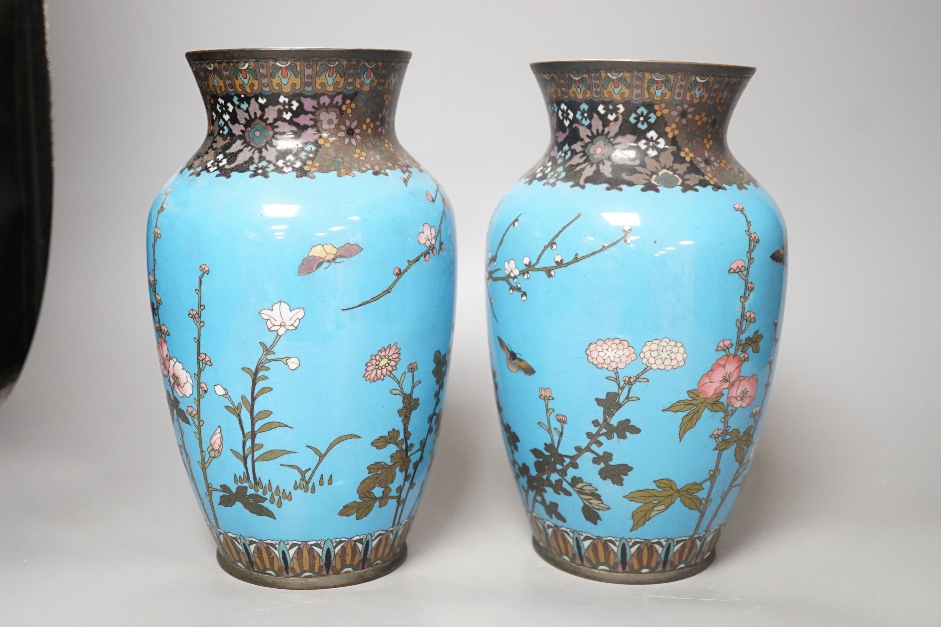 A pair of Japanese blue cloisonné enamel floral vases - 25cm tall